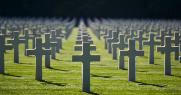 Website Feature Image