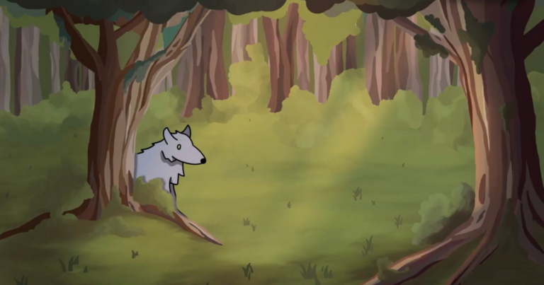 Website Feature Image