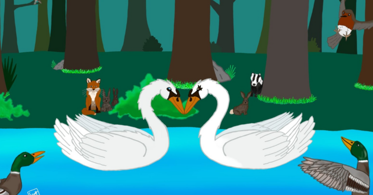 Website Feature Image