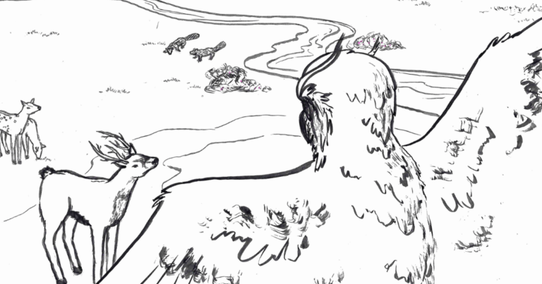 Website Feature Image