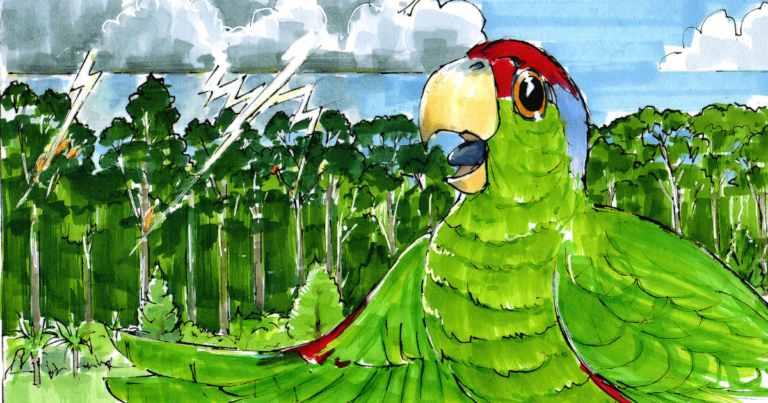 Website Feature Image