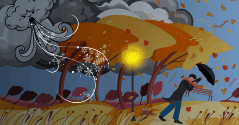 Website Feature Image